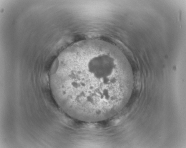 X0000088230523200706051351