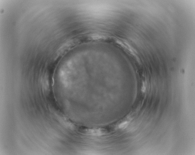 X0000088230524200706051351