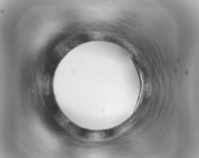 X0000088230525200706051351