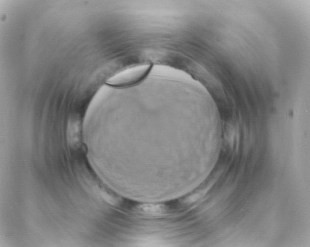 X0000088230526200706051351