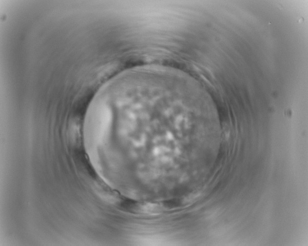 X0000088230527200706051351