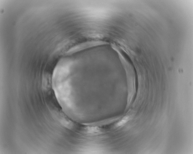 X0000088230528200706051351