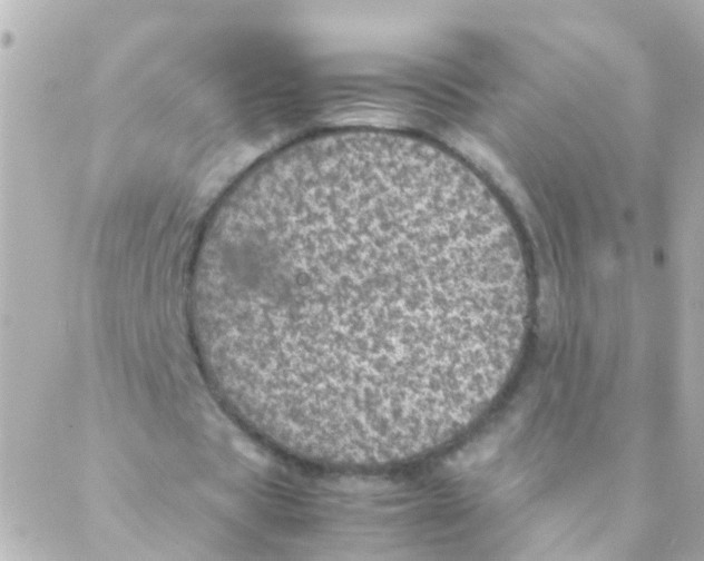 X0000088230529200706051350