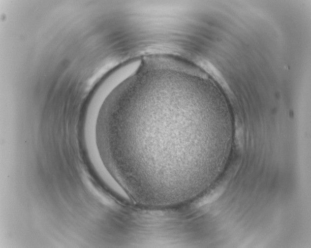 X0000088230530200706051350