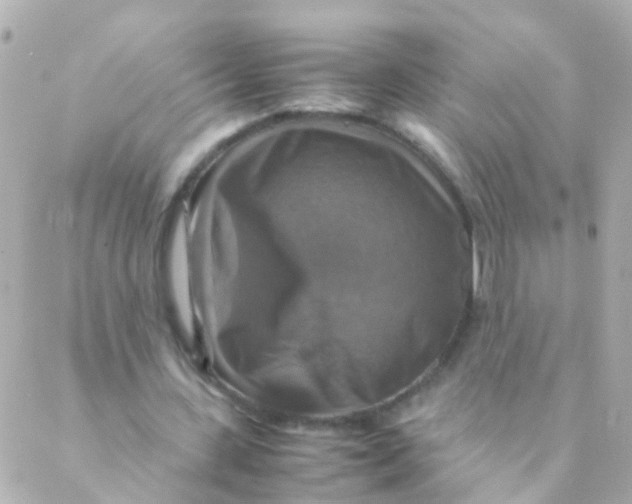 X0000088230531200706051350