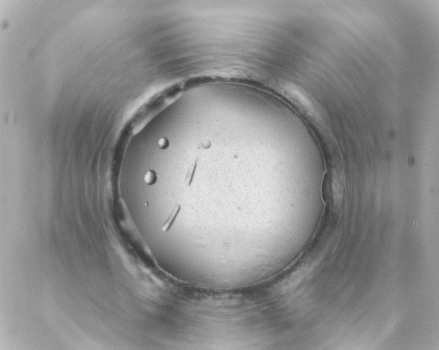 X0000088230532200706051350