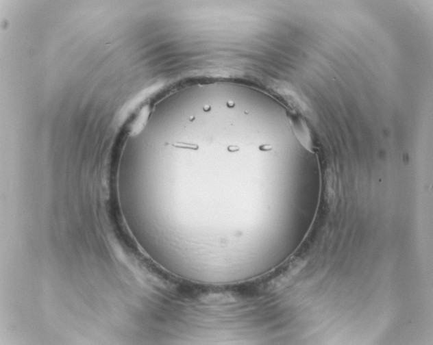 X0000088230536200706051350