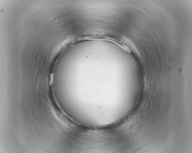 X0000088230538200706051350