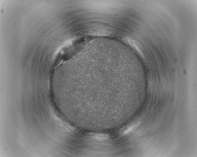 X0000088230539200706051350