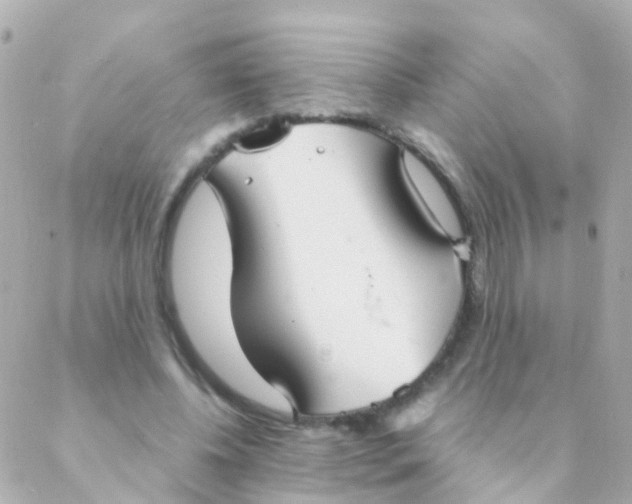 X0000088230540200706051350