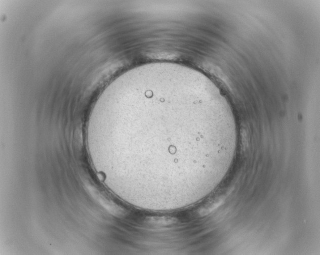 X0000088230541200706051350