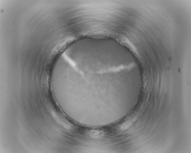 X0000088230542200706051350