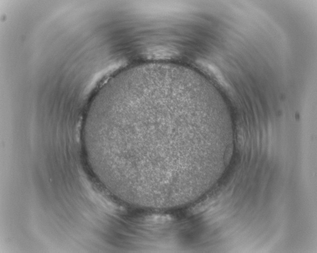 X0000088230543200706051350