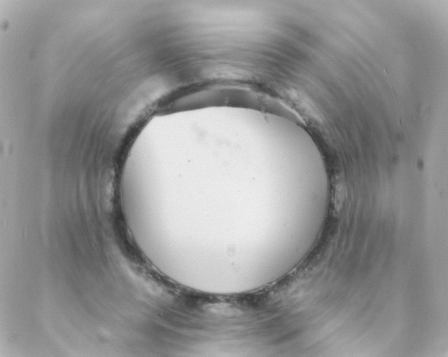 X0000088230544200706051350