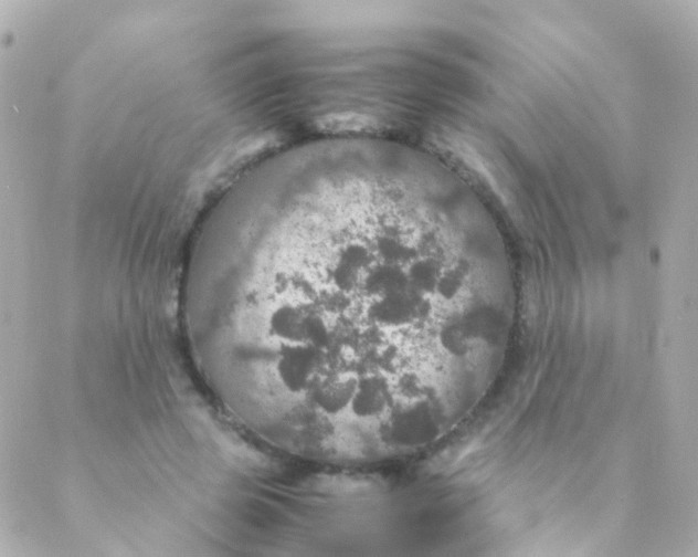 X0000088230545200706051350