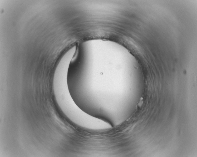 X0000088230546200706051350