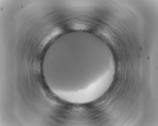 X0000088230547200706051350