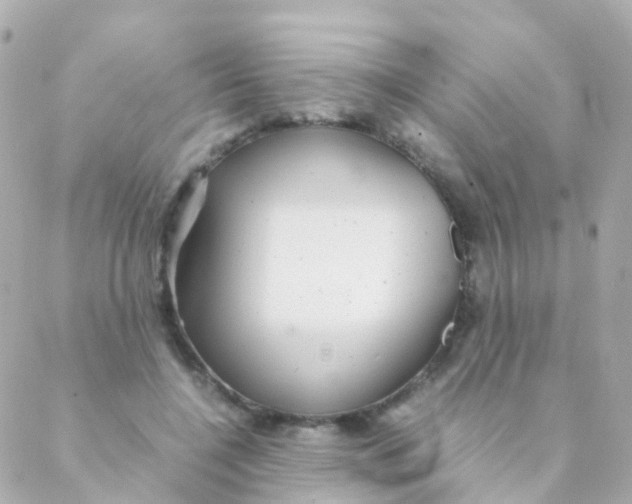 X0000088230548200706051350