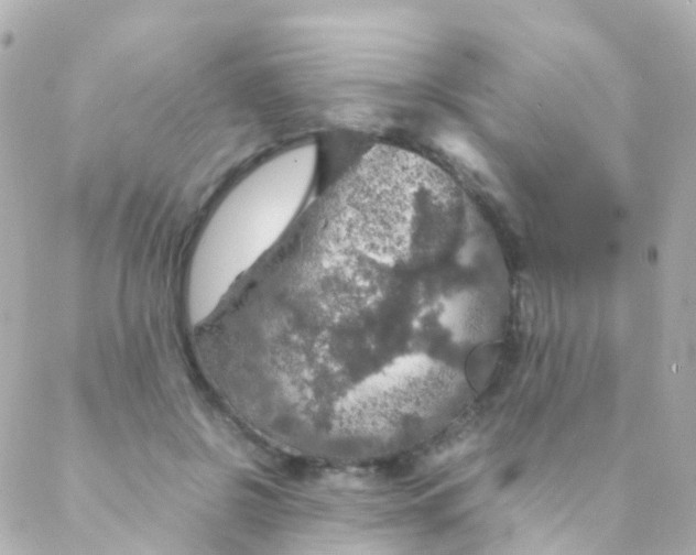 X0000088230550200706051350