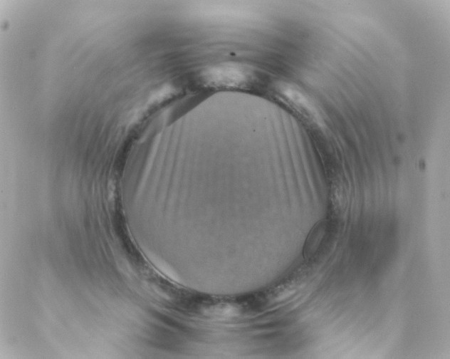 X0000088230551200706051350