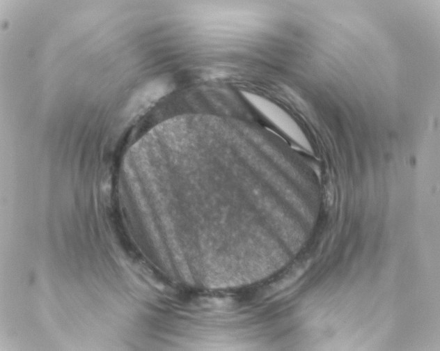 X0000088230552200706051350