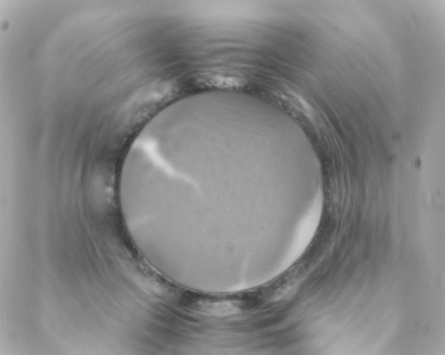 X0000088230553200706051350