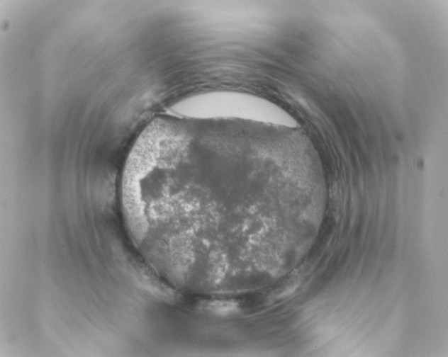 X0000088230554200706051350