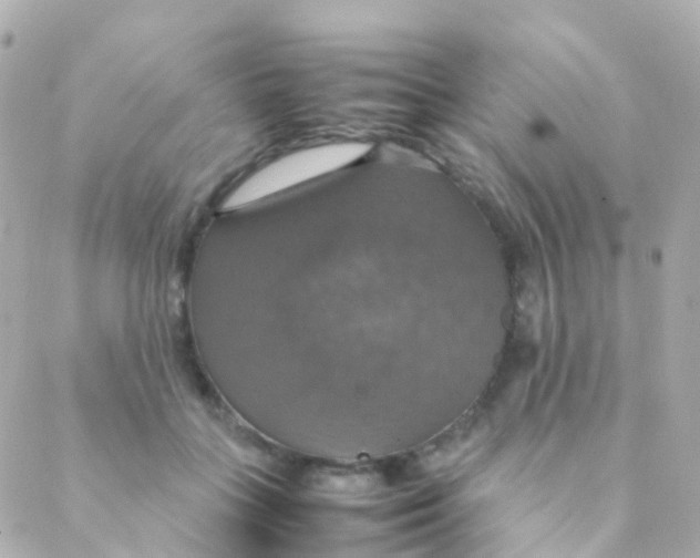 X0000088230555200706051350