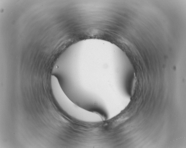 X0000088230558200706051350