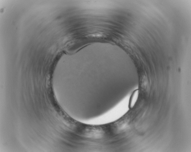 X0000088230559200706051350