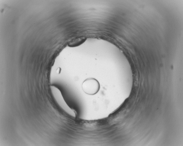 X0000088230560200706051350