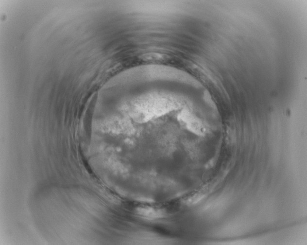 X0000088230561200706051351