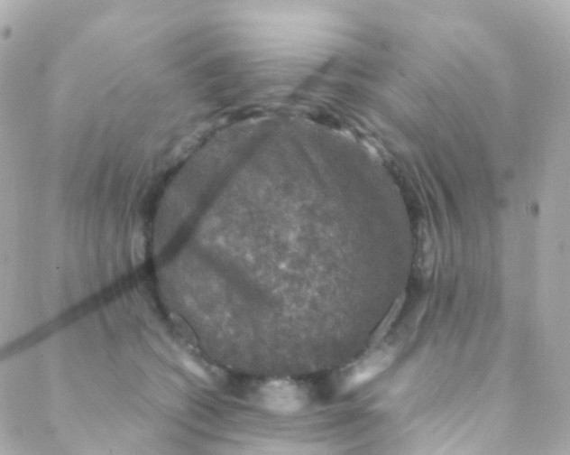 X0000088230562200706051351