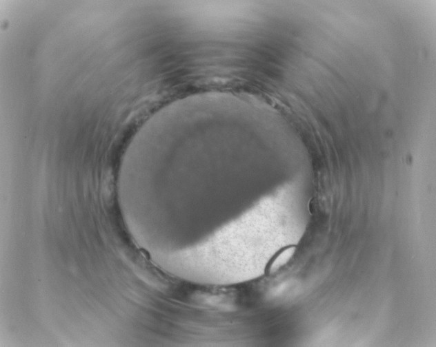 X0000088230563200706051351