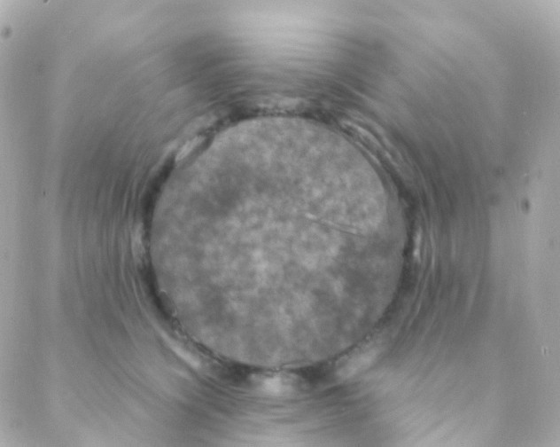 X0000088230564200706051351