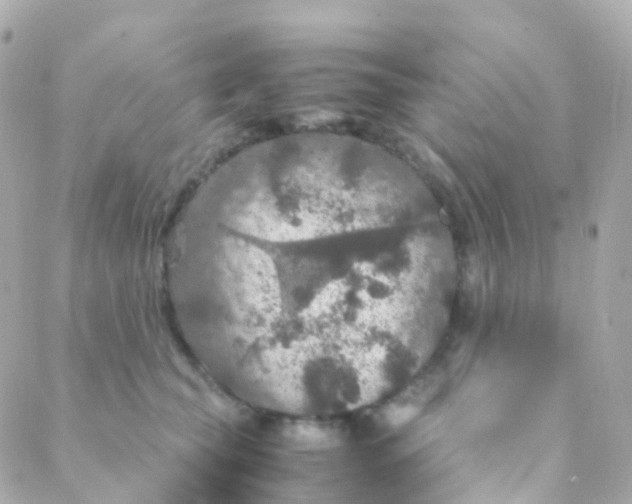 X0000088230565200706051351