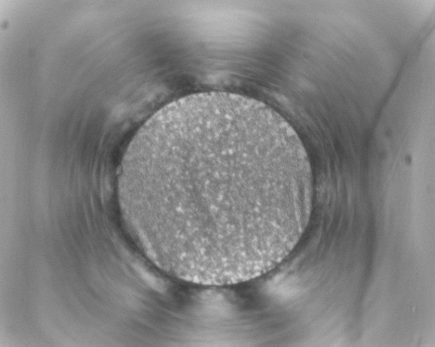 X0000088230566200706051351