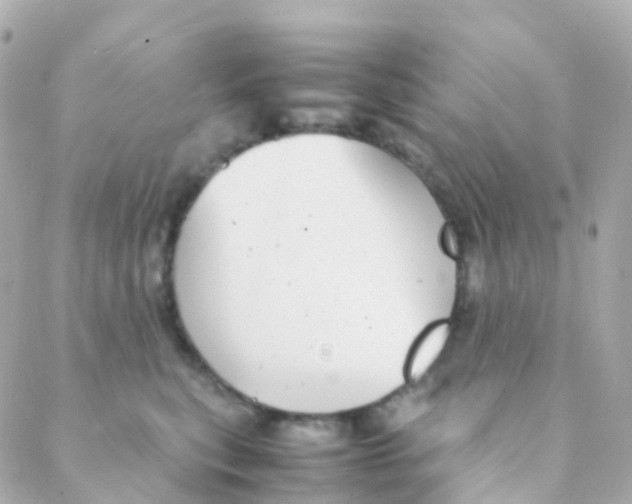 X0000088230567200706051351