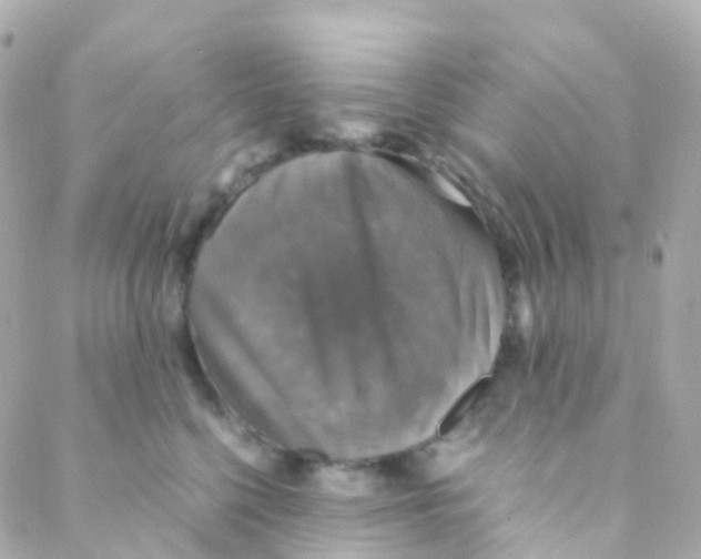 X0000088230568200706051351