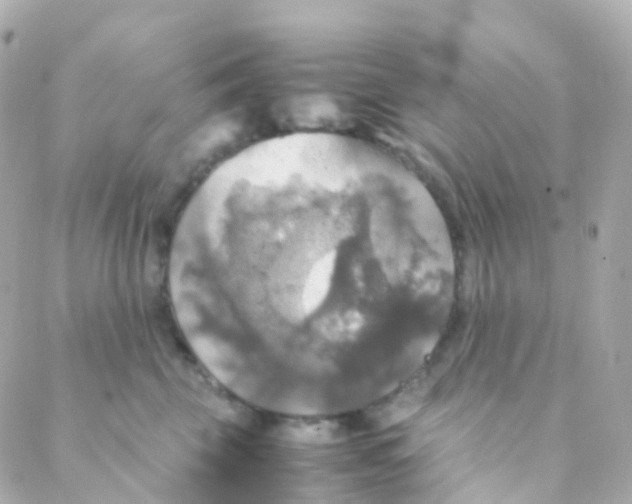 X0000088230569200706051351