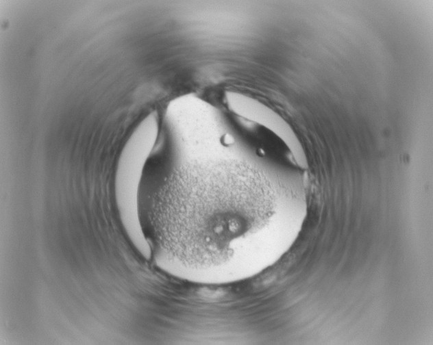 X0000088230570200706051351