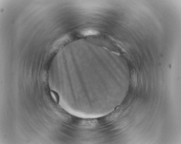 X0000088230571200706051351