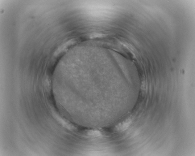 X0000088230572200706051351