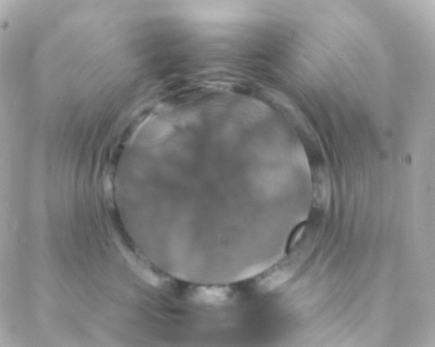 X0000088230573200706051351