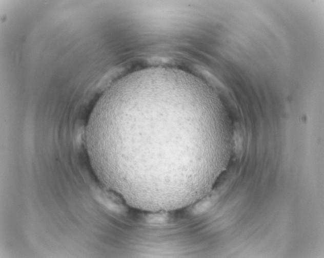 X0000088230574200706051351