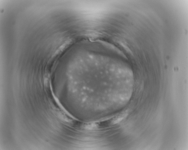 X0000088230576200706051351