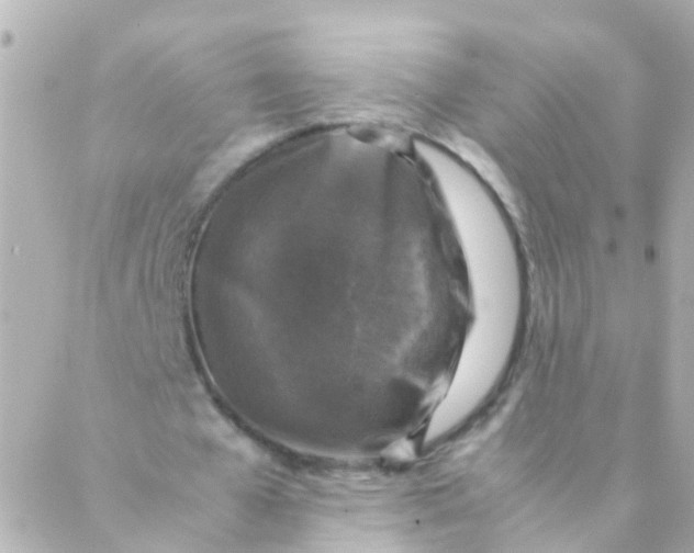 X0000088230577200706051350