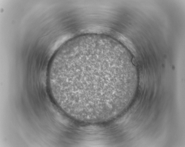 X0000088230578200706051350