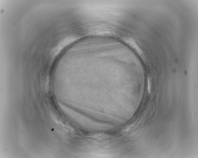 X0000088230579200706051350