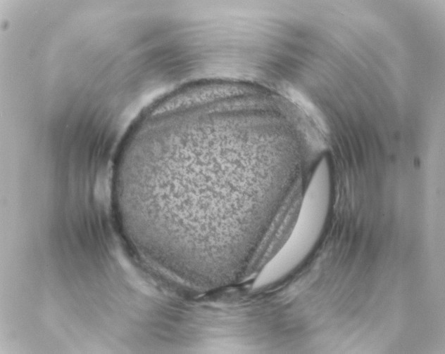 X0000088230580200706051350